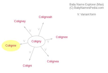 Baby Name Explorer for Colignie